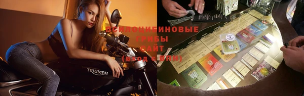 каннабис Алзамай