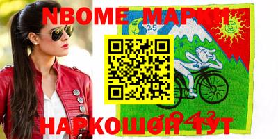 СК Новодвинск