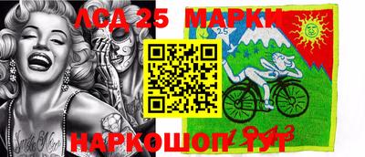 СК Новодвинск