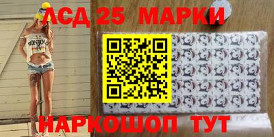 СК Новодвинск