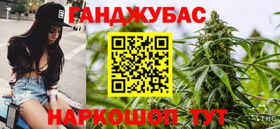 СК Новодвинск