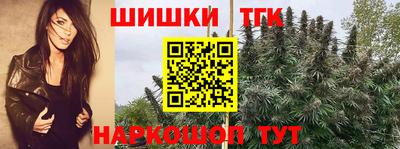 СК Новодвинск