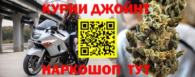 СК Новодвинск
