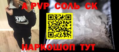 СК Новодвинск