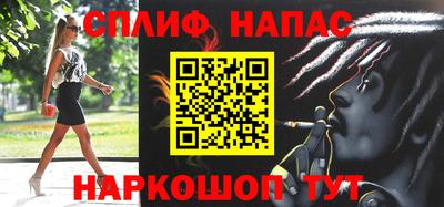 СК Новодвинск