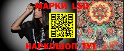 СК Новодвинск