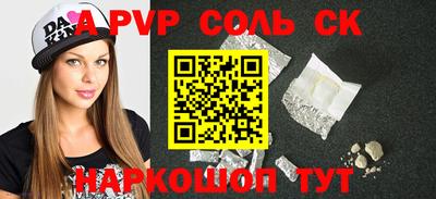 СК Новодвинск