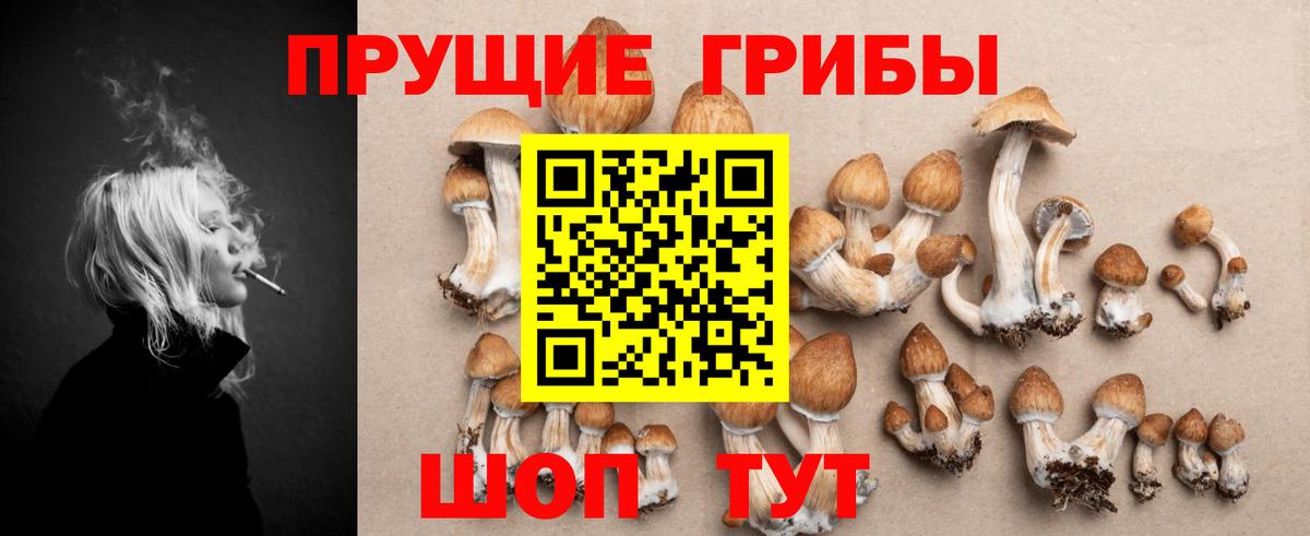 где продают   Псилоцибиновые грибы Psilocybe  Вход с VPN  Тулун 